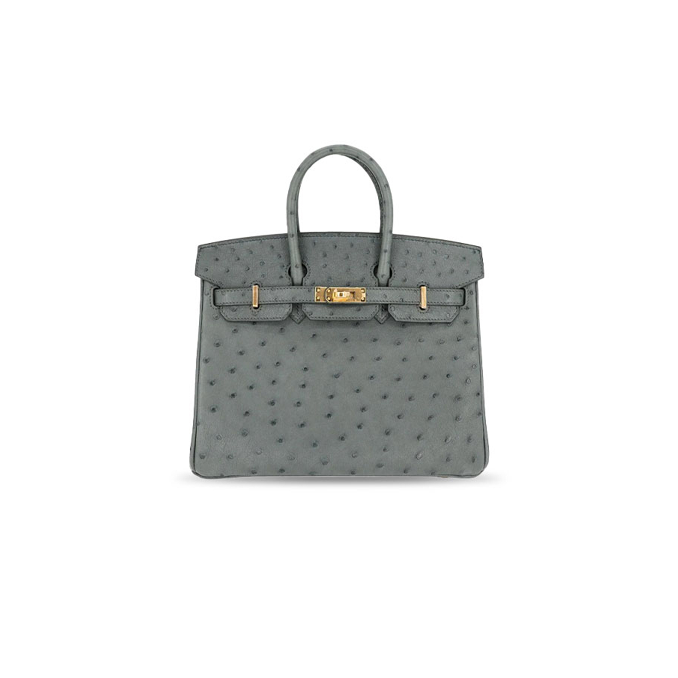 H**mes MASTER OSTRICH BIRKIN 25 BIRKIN HANDBAG (25*20*13cm)